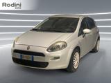 FIAT Punto 1.2 8V 5 porte Easy