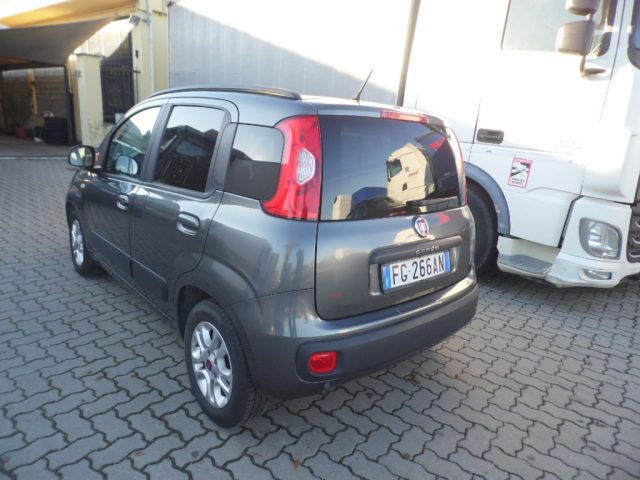 FIAT Panda 1.2 Lounge Immagine 3