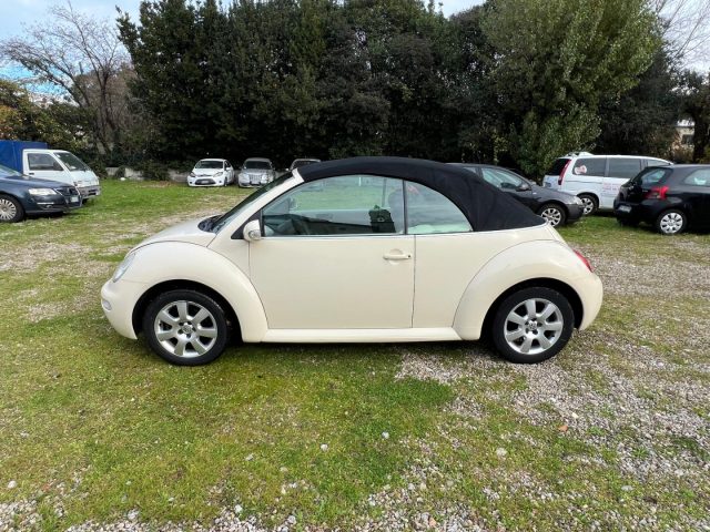 VOLKSWAGEN New Beetle 1.9 TDI 105CV Cabrio Immagine 3