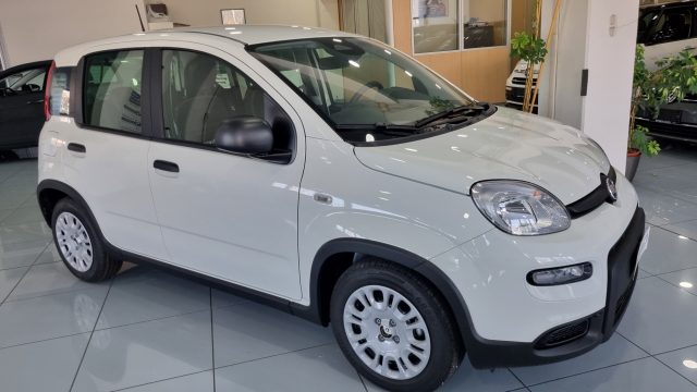 FIAT Panda 1.0 FireFly S&S Hybrid Pandina Immagine 1