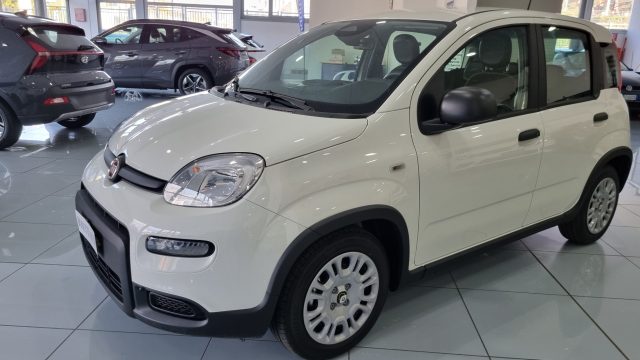 FIAT Panda 1.0 FireFly S&S Hybrid Pandina Immagine 0