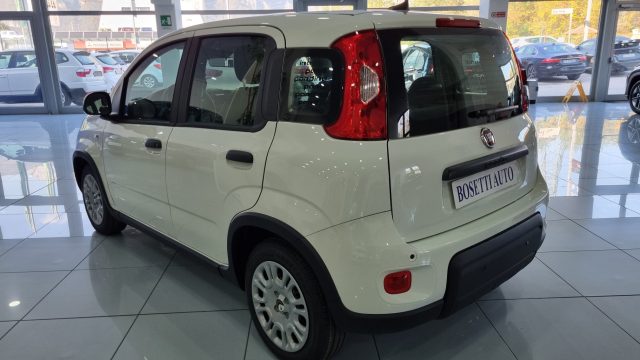 FIAT Panda 1.0 FireFly S&S Hybrid Pandina Immagine 2