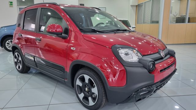 FIAT Panda 1.0 FireFly S&S Hybrid Pandina Immagine 1