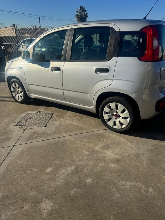 FIAT Panda 1.2 Easy Immagine 3