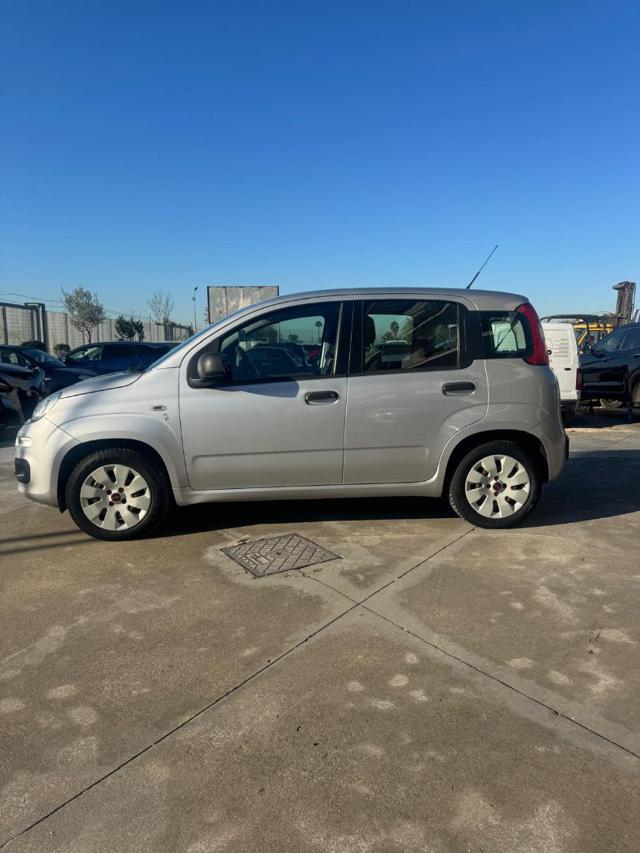 FIAT Panda 1.2 Easy Immagine 2