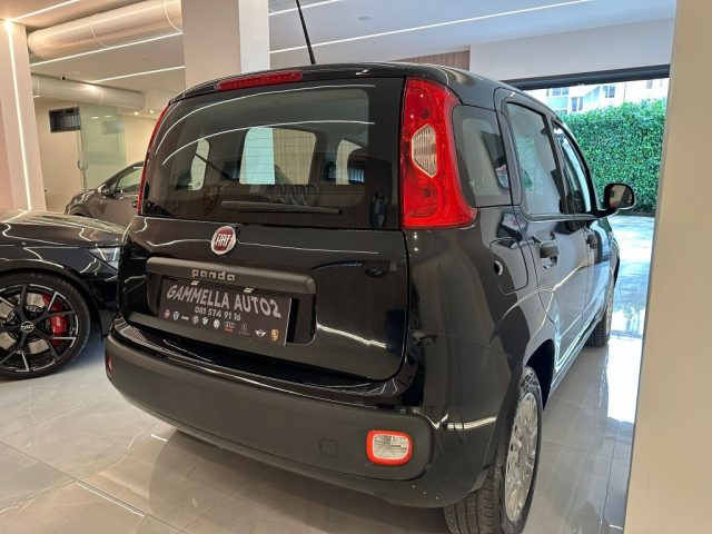 FIAT Panda 1.2 EasyPower Immagine 2