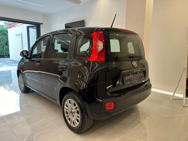 FIAT Panda 1.2 EasyPower Immagine 3