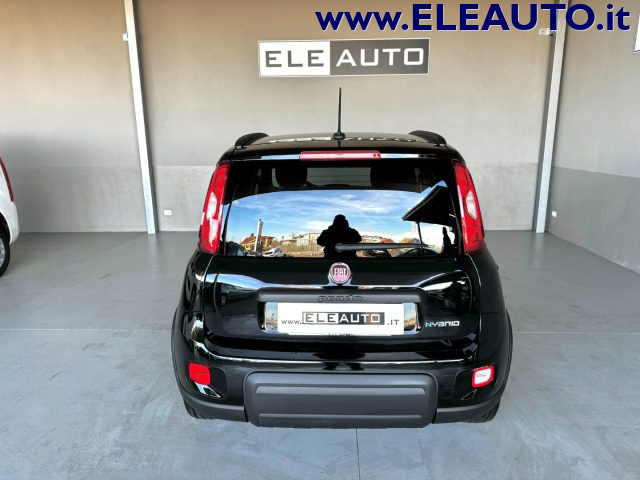 FIAT Panda 1.0 FireFly S&S Hybrid - Neopatentati Immagine 4