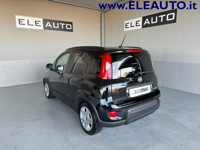 FIAT Panda 1.0 FireFly S&S Hybrid - Neopatentati Immagine 3