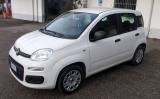 FIAT Panda 1.2 35.000 KM EASY IDONEA PER NEOPATENTATI