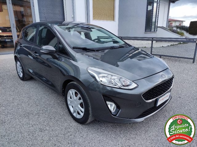 FORD Fiesta 1.5 TDCi 5 porte Plus Immagine 2