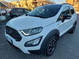 FORD EcoSport 1.0 EcoBoost 125 CV Start&Stop Active pelle