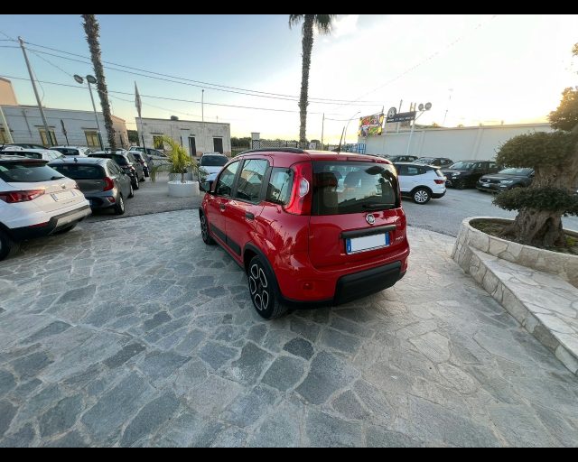 FIAT Panda 1.0 FireFly S&S Hybrid City Life Immagine 3