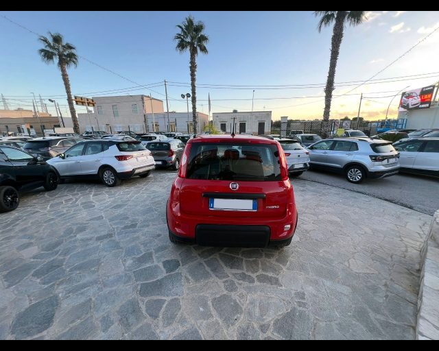 FIAT Panda 1.0 FireFly S&S Hybrid City Life Immagine 4