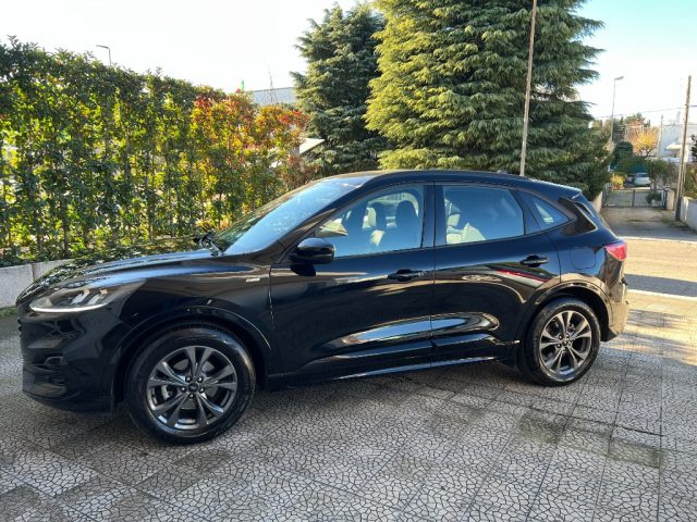 FORD Kuga 1.5 EcoBlue 120 CV aut. ST-Line Immagine 3