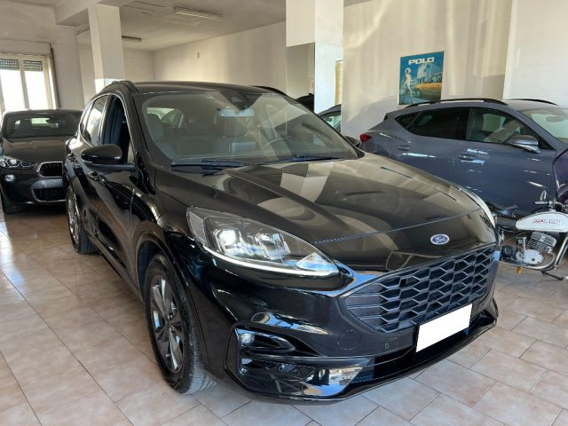 FORD Kuga 1.5 EcoBlue 120 CV aut. ST-Line Immagine 2