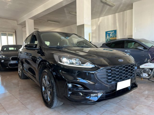 FORD Kuga 1.5 EcoBlue 120 CV aut. ST-Line Immagine 0