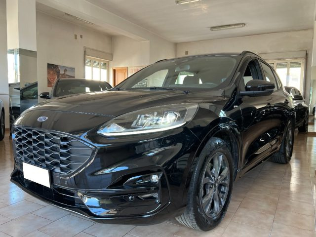 FORD Kuga 1.5 EcoBlue 120 CV aut. ST-Line Immagine 1