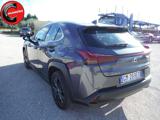 LEXUS UX 250h UX 250h 2.0 Business 2wd cvt my20