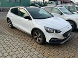 FORD Focus 1.0 EcoBoost 125 CV 5p. ST-Line