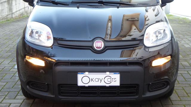 FIAT Panda 1.0 FireFly S&S Hybrid Immagine 4