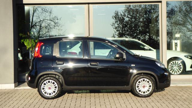 FIAT Panda 1.0 FireFly S&S Hybrid Immagine 3