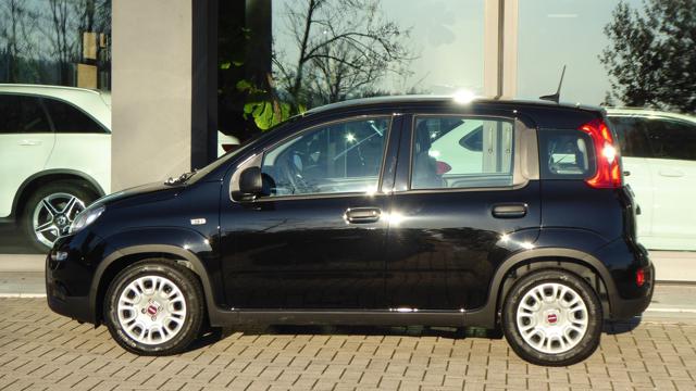 FIAT Panda 1.0 FireFly S&S Hybrid Immagine 1