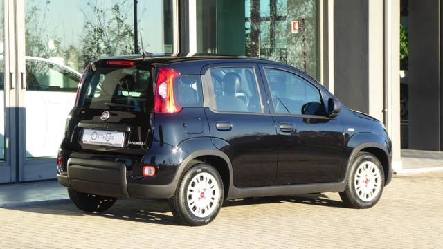 FIAT Panda 1.0 FireFly S&S Hybrid Immagine 2