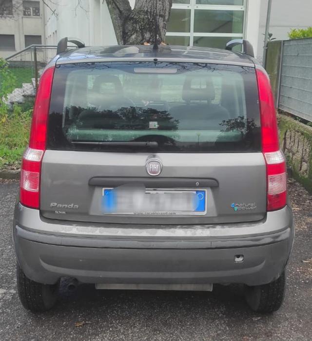 FIAT Panda 1.4 Dynamic Natural Power Immagine 2