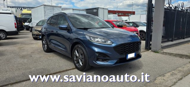 FORD Kuga 1.5 EcoBlue 120 CV aut. 2WD ST-Line Immagine 1