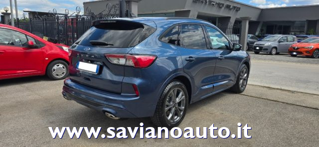 FORD Kuga 1.5 EcoBlue 120 CV aut. 2WD ST-Line Immagine 2