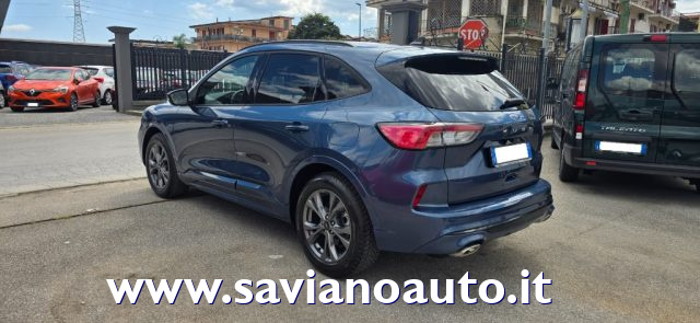 FORD Kuga 1.5 EcoBlue 120 CV aut. 2WD ST-Line Immagine 3