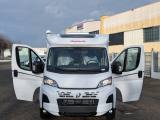 DETHLEFFS  PRONTA CONSEGNA GLOBEBUS COMPATTO 6,69 M FIAT