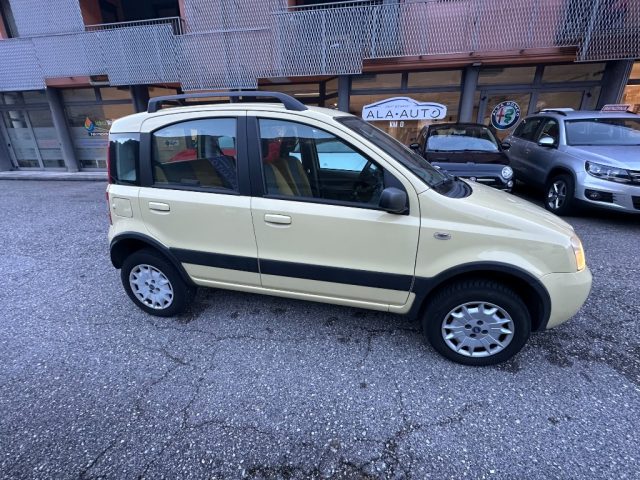 FIAT Panda 1.2 4x4 Immagine 3