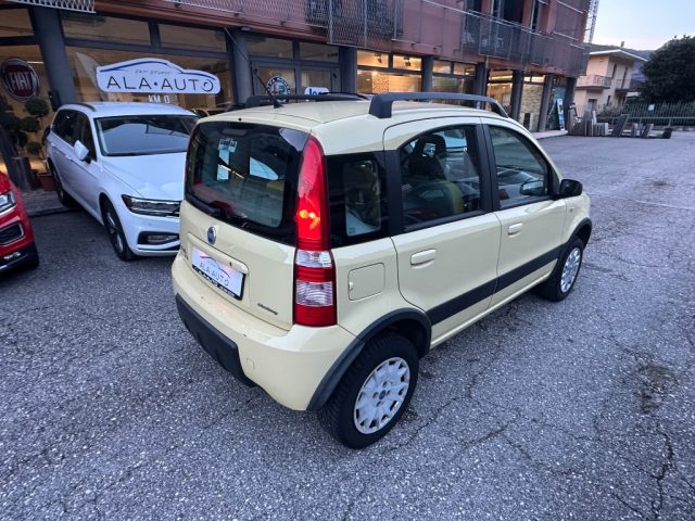 FIAT Panda 1.2 4x4 Immagine 4