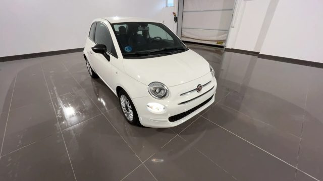 FIAT 500 1.0 Hybrid Cult #Vari.Colori Immagine 2