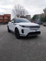 LAND ROVER Range Rover Evoque 2.0D I4 163 CV AWD Auto SE