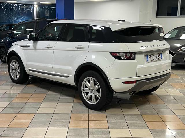 LAND ROVER Range Rover Evoque 2.2 TD4 5p. Pure Immagine 3