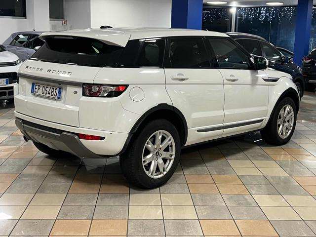 LAND ROVER Range Rover Evoque 2.2 TD4 5p. Pure Immagine 2