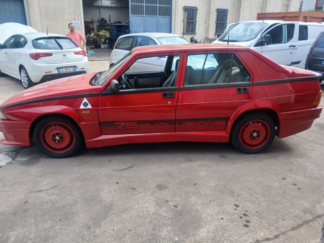 alfa romeo 75 1.8i turbo evoluzione