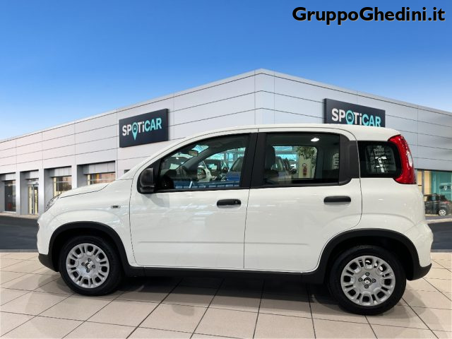 FIAT Panda 1.0 FireFly S&S Hybrid Immagine 1