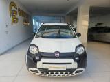 FIAT Panda 1.0 FireFly S&S Hybrid City Cross da ?119,00