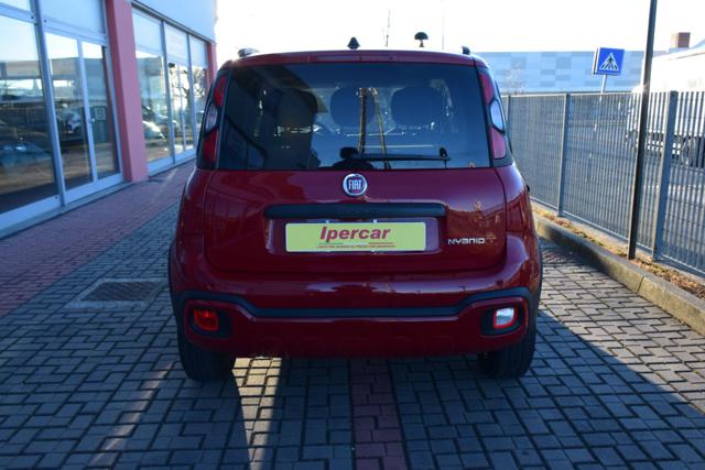 FIAT Panda Cross 1.0 FireFly S&S Hybrid Immagine 3