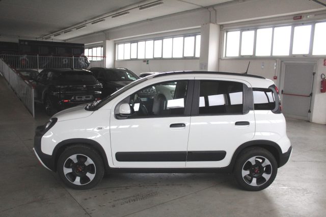 FIAT Panda 1.0 FireFly S&S Hybrid Cross Immagine 2