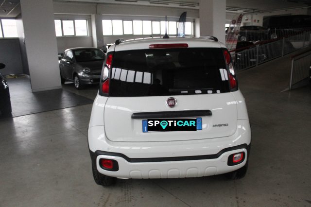 FIAT Panda 1.0 FireFly S&S Hybrid Cross Immagine 4