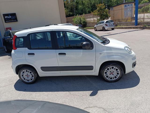 FIAT Panda 1.2 Easy Immagine 3