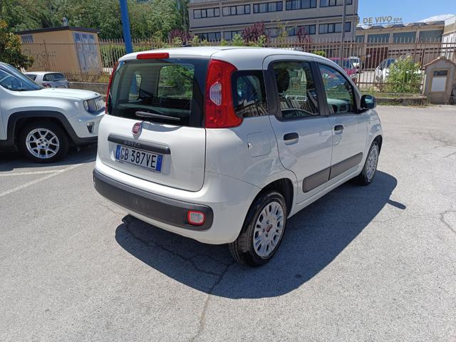 FIAT Panda 1.2 Easy Immagine 4