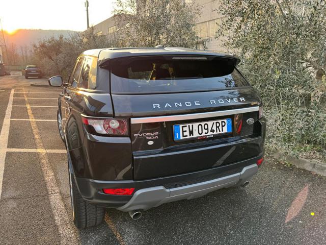 LAND ROVER Range Rover Evoque 2.2 Sd4 5p. Dynamic 190cv automatica Immagine 3