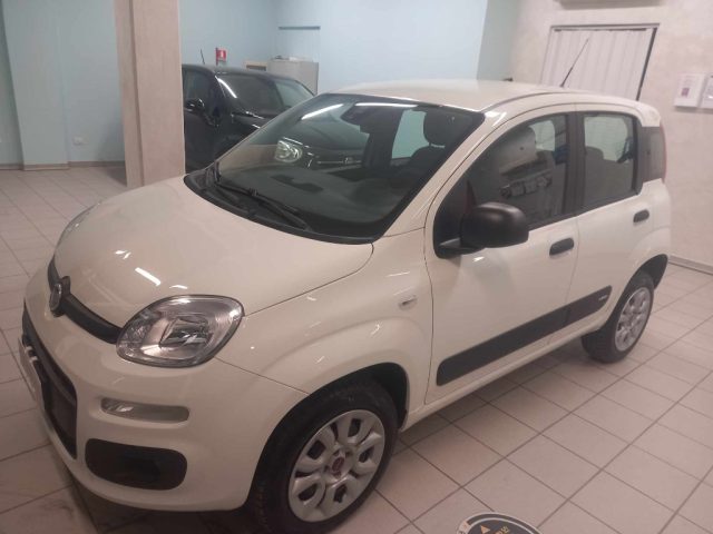 FIAT Panda 0.9 Natural Power km18450!!! Immagine 2