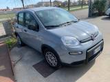 FIAT Panda 1.0 FireFly S&S Hybrid a  noleggio no  vendita